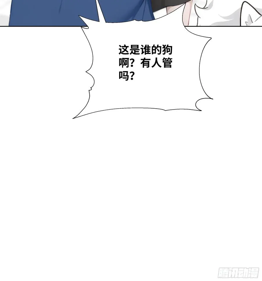 37 狗仗人势25