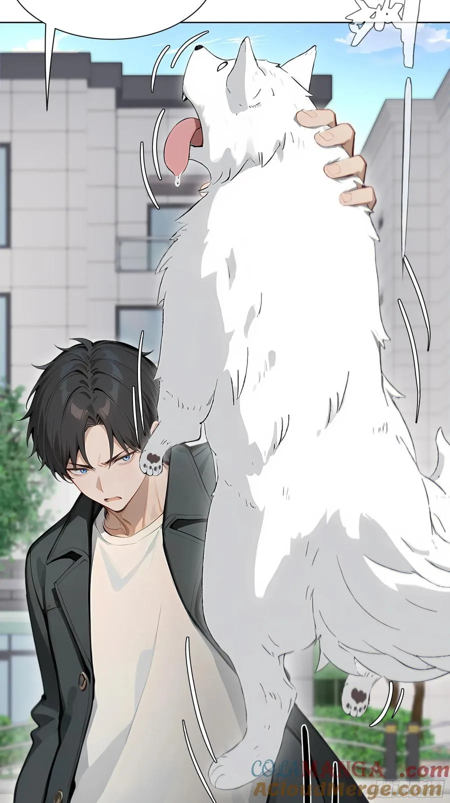 37 狗仗人势54