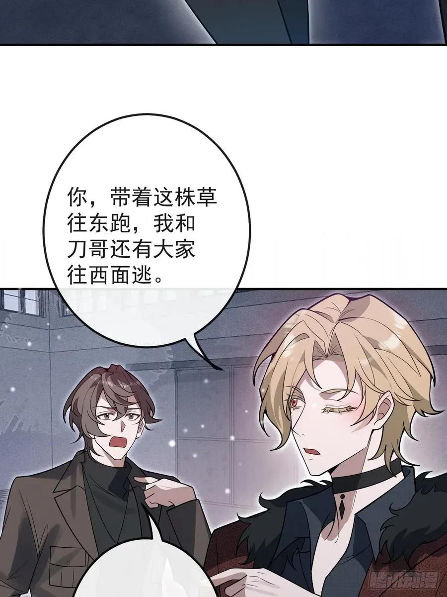 80-黑龙现身！7