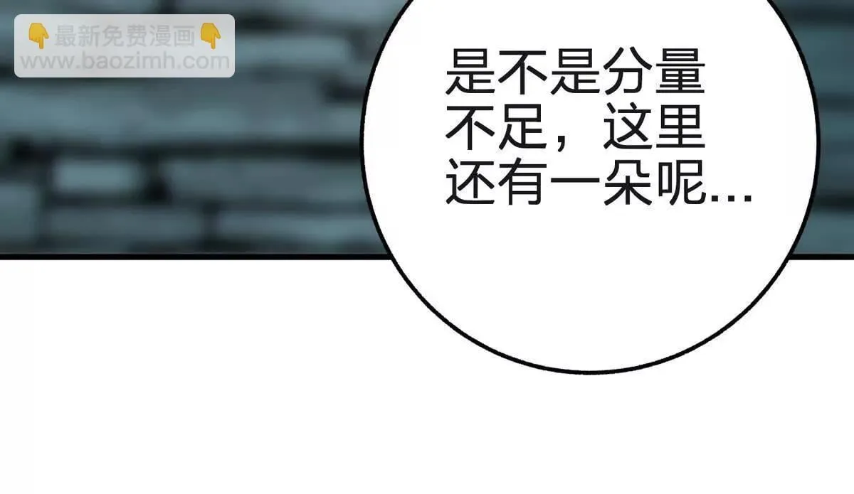 生命诞生体98