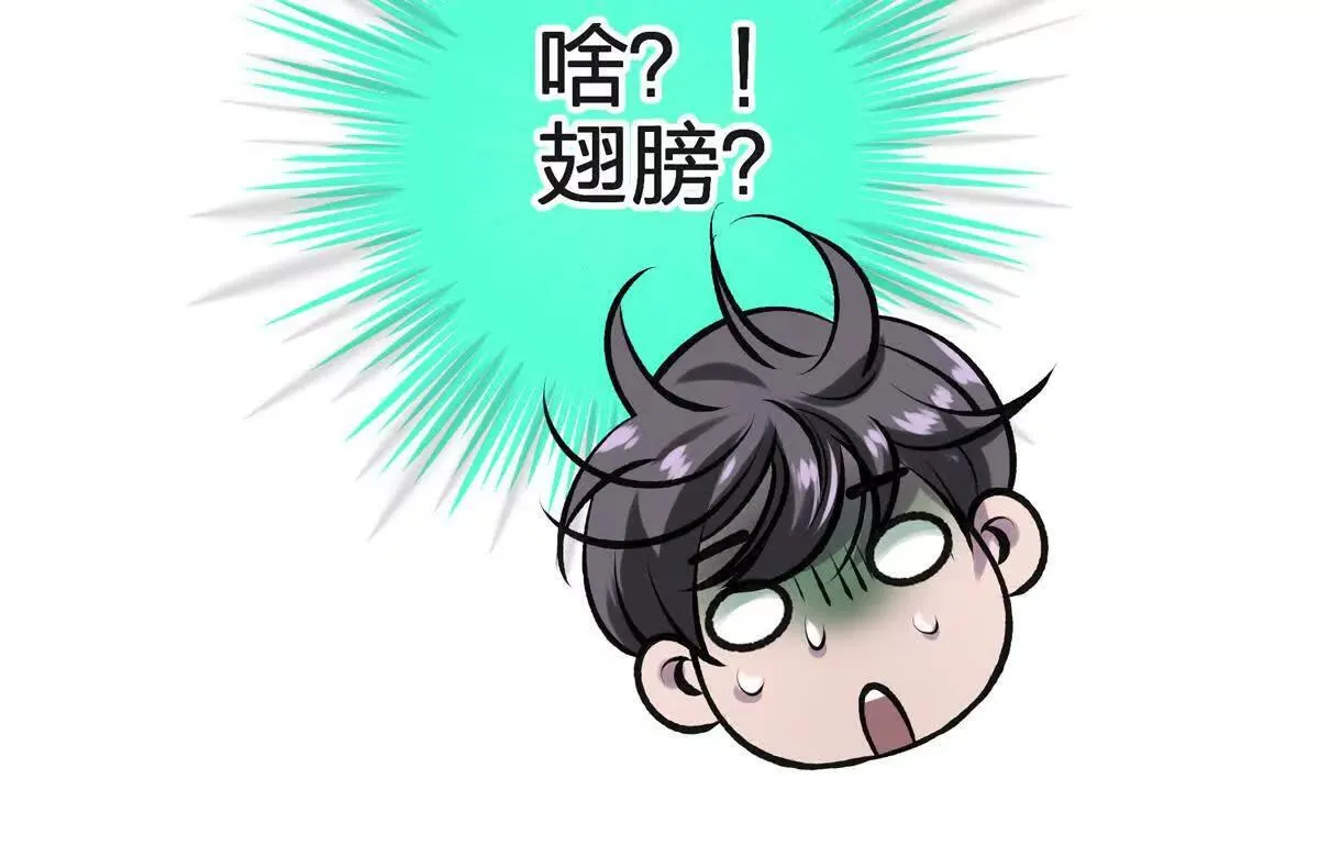 蝶翼45