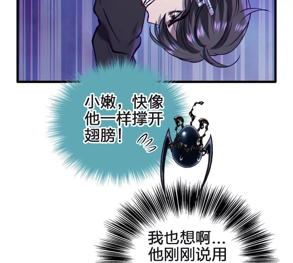 蝶翼55