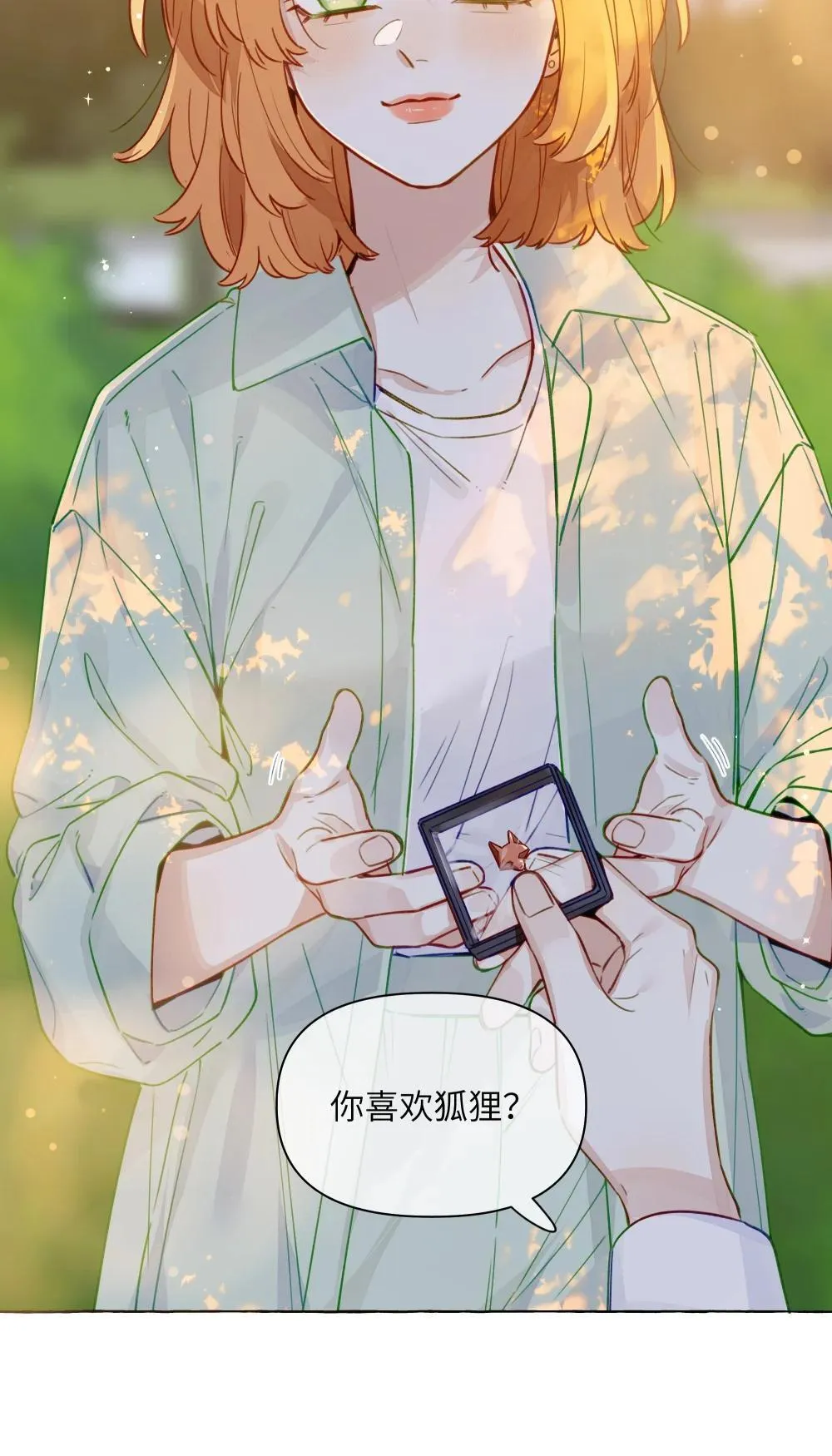 001 狐狸25