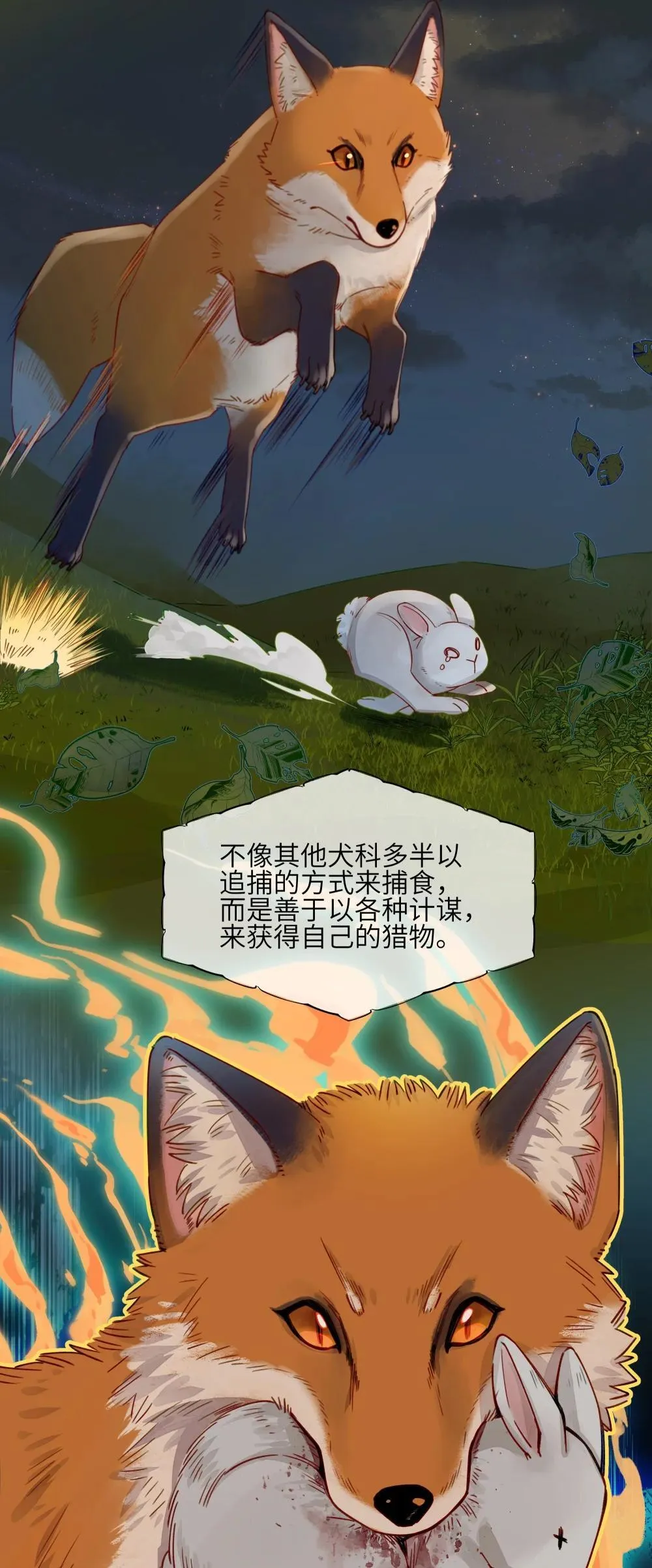 001 狐狸3