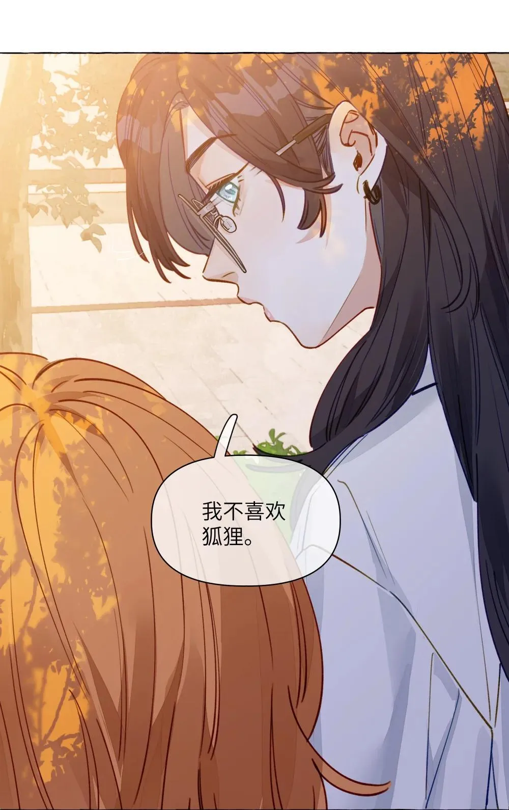 001 狐狸30