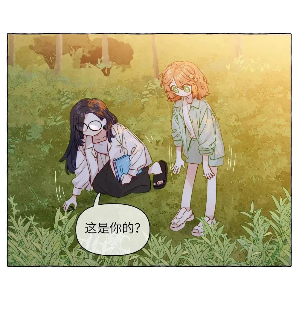001 狐狸22