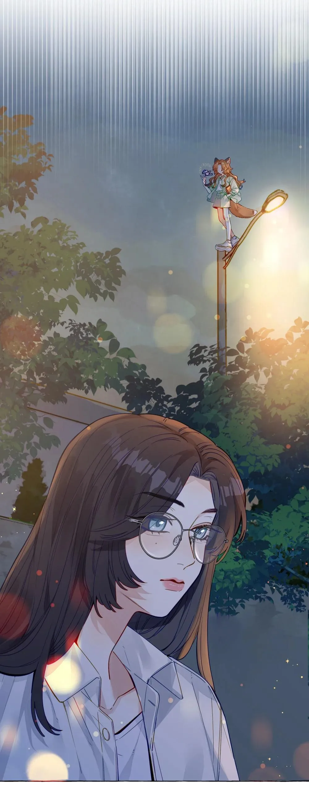 001 狐狸36