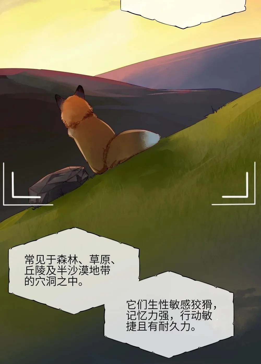 001 狐狸2