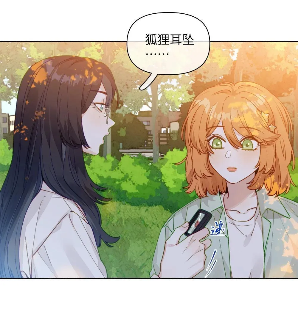 001 狐狸23