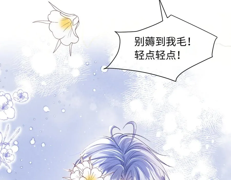 第8话 这Alpha是真想嫁给指挥官啊13