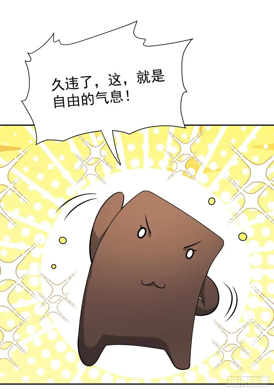 第43话 神秘之师17