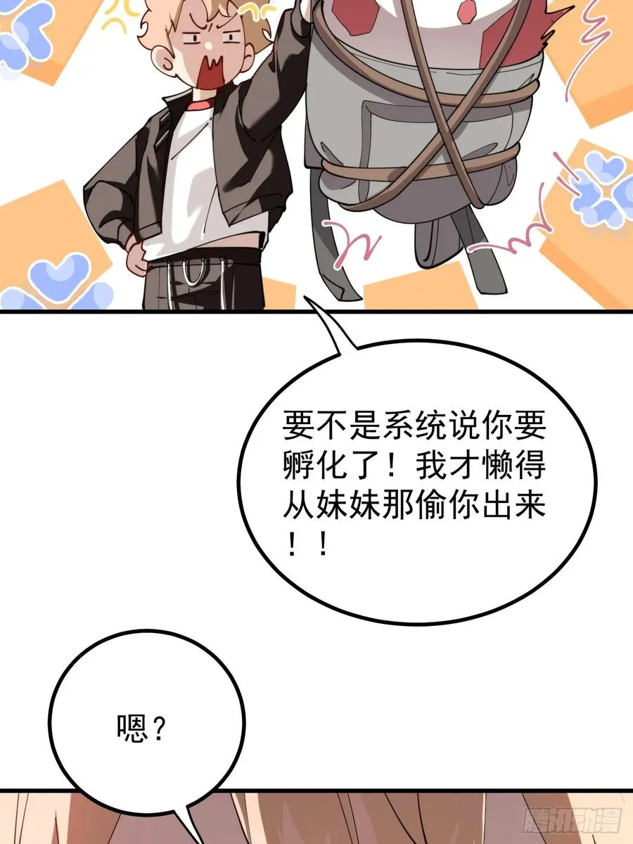 陨石消失之谜29