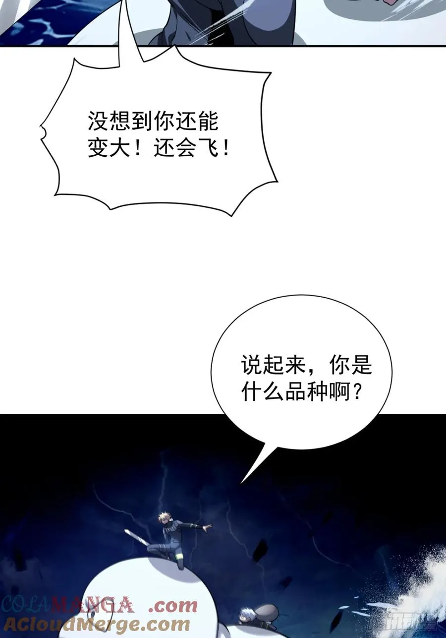 飞上天和太阳肩并肩12