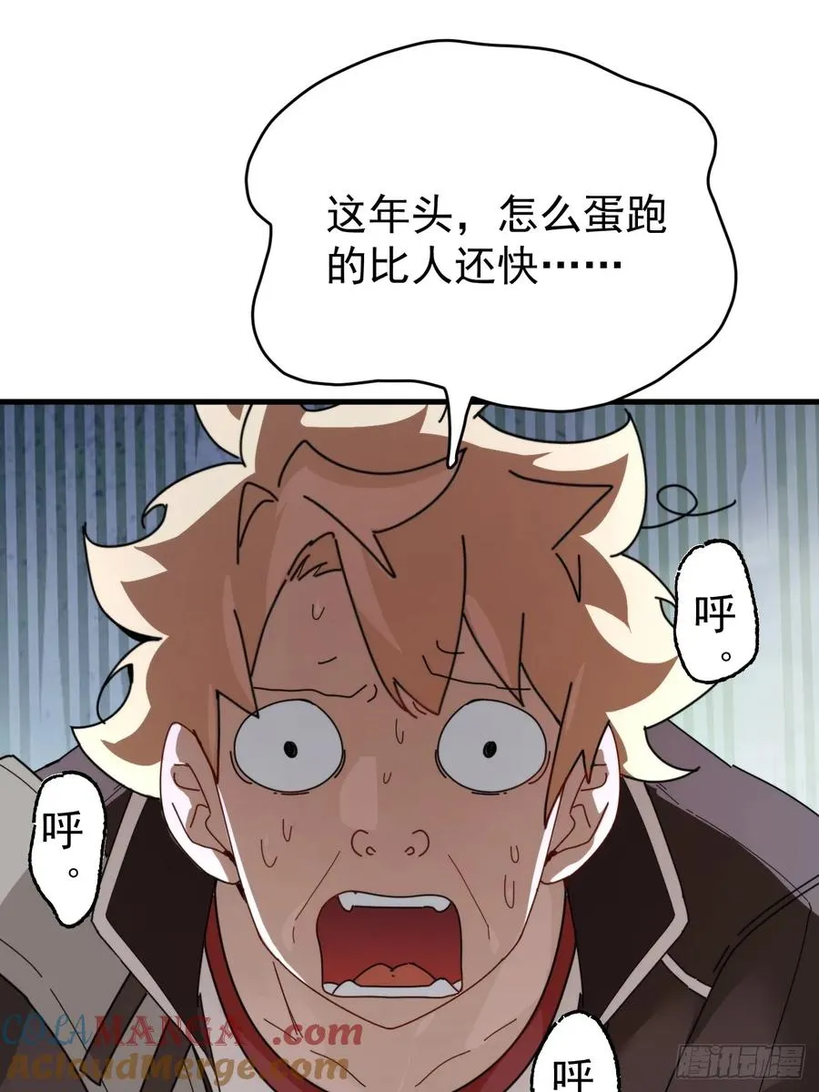 陨石消失之谜26