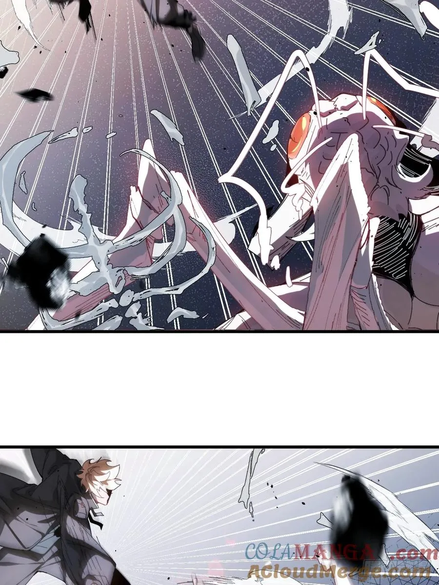 络新妇——上28