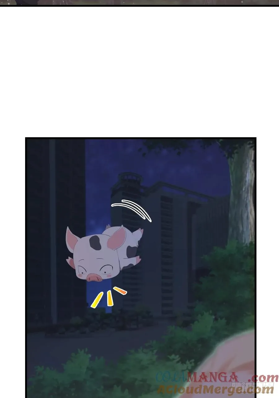 第47话 猪八戒的秘密12