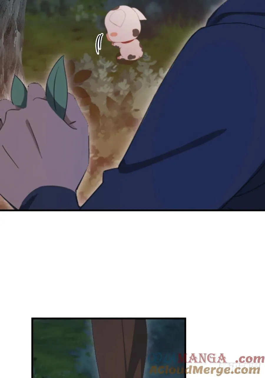 第47话 猪八戒的秘密21