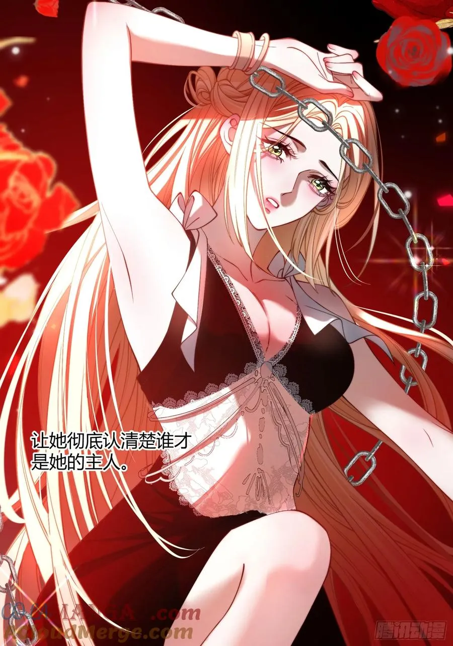 第三十七话 驯化理论8
