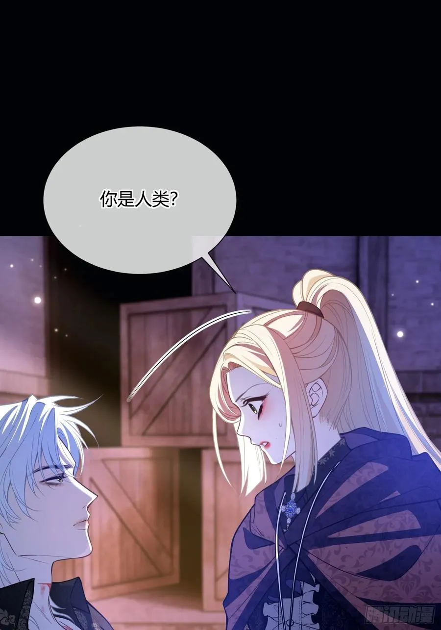 第五十八话 错认7