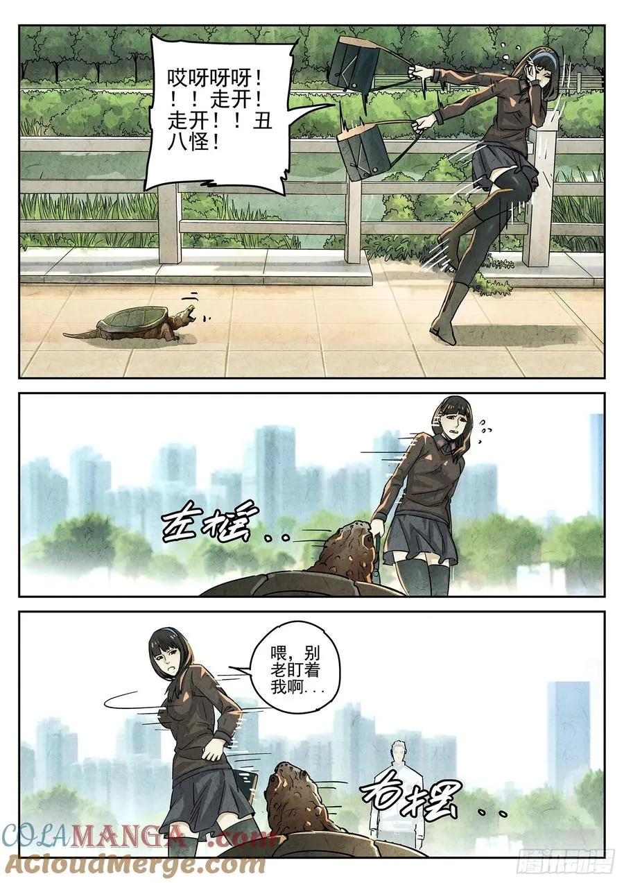 第四十话 生焖鳄龟（一）2