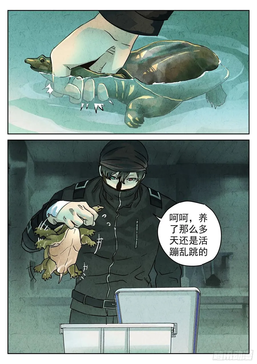 第四一话 陶锅甲鱼和甲鱼粥（五）5