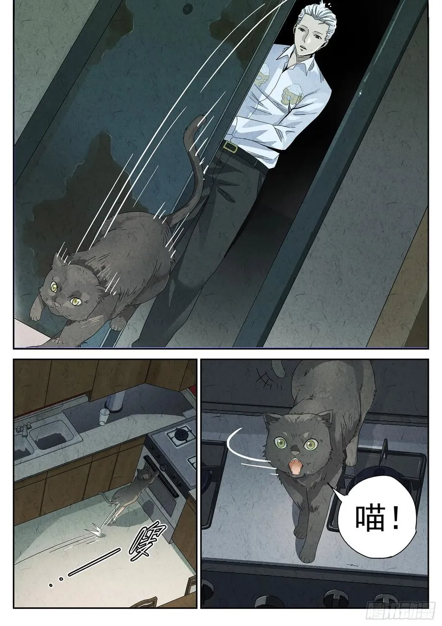 番外 猫爪拌饭5
