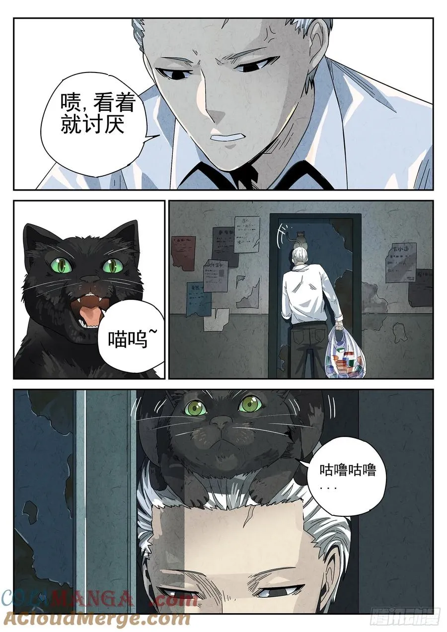 番外 猫爪拌饭4