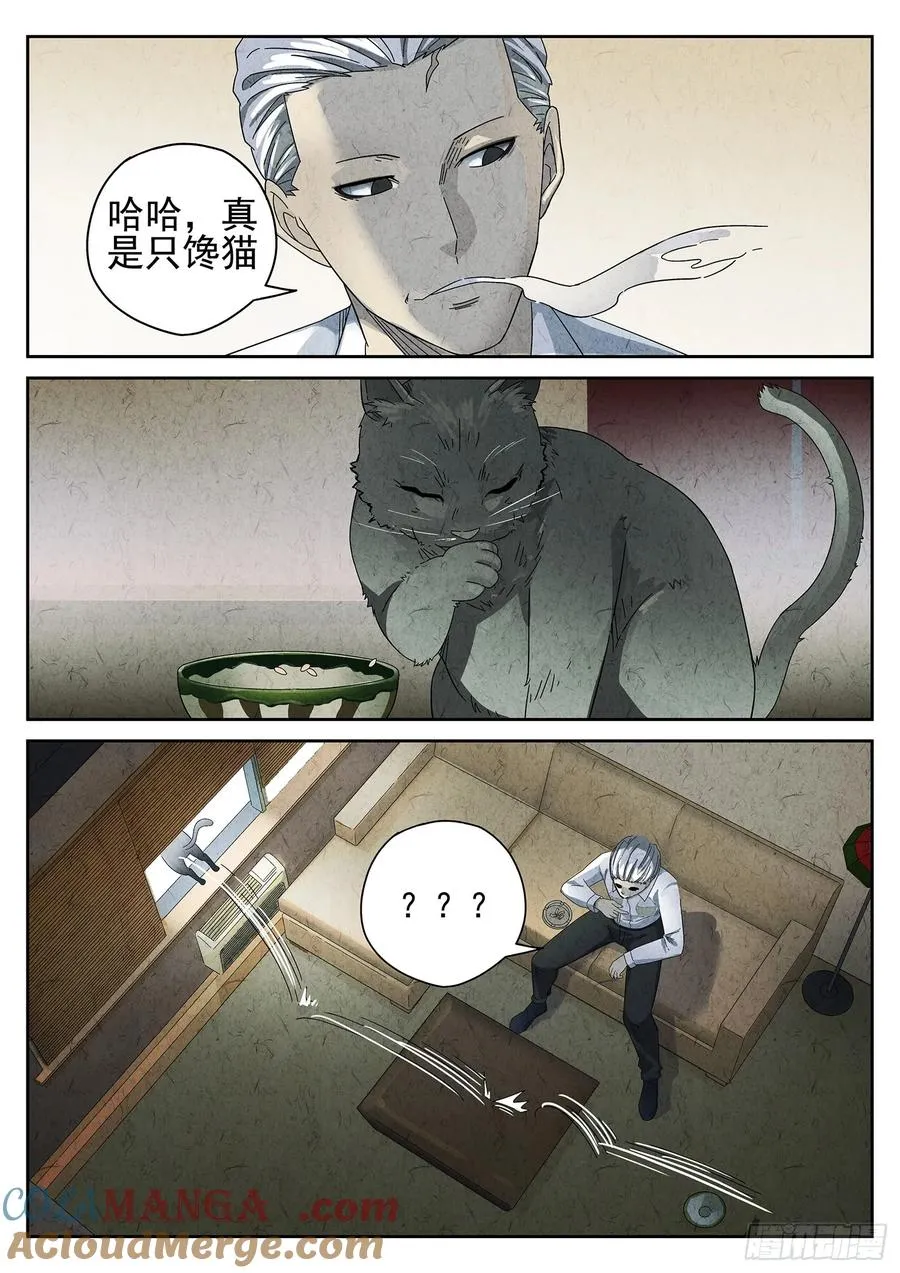 番外 猫爪拌饭12