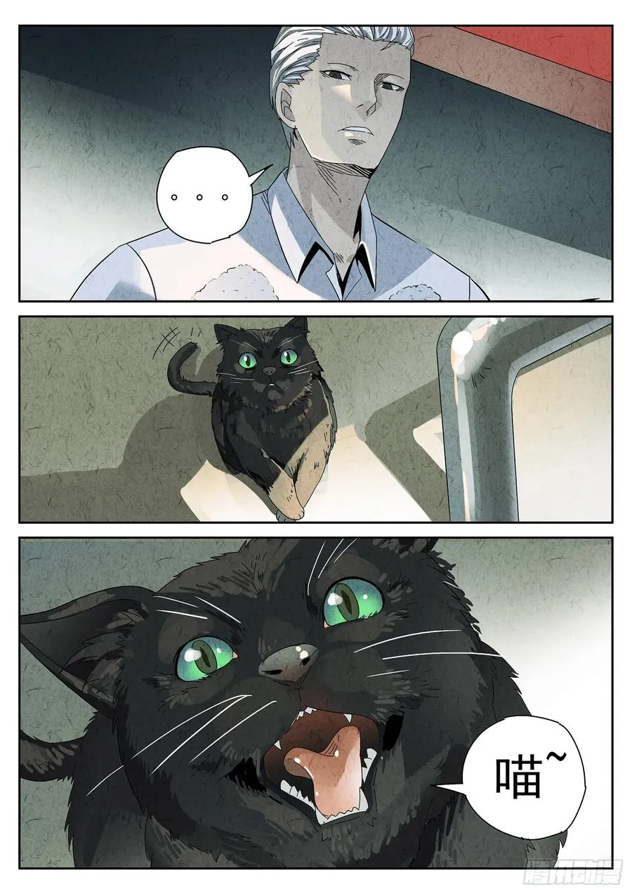 番外 猫爪拌饭3