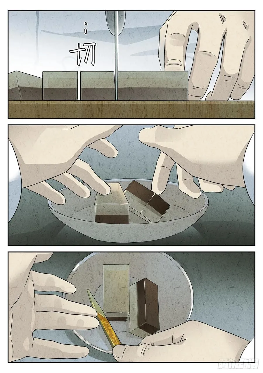 第十八话 穿山甲料理（二）1
