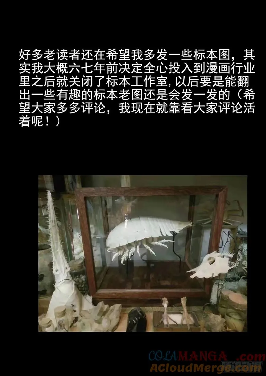 番外 猫爪拌饭14