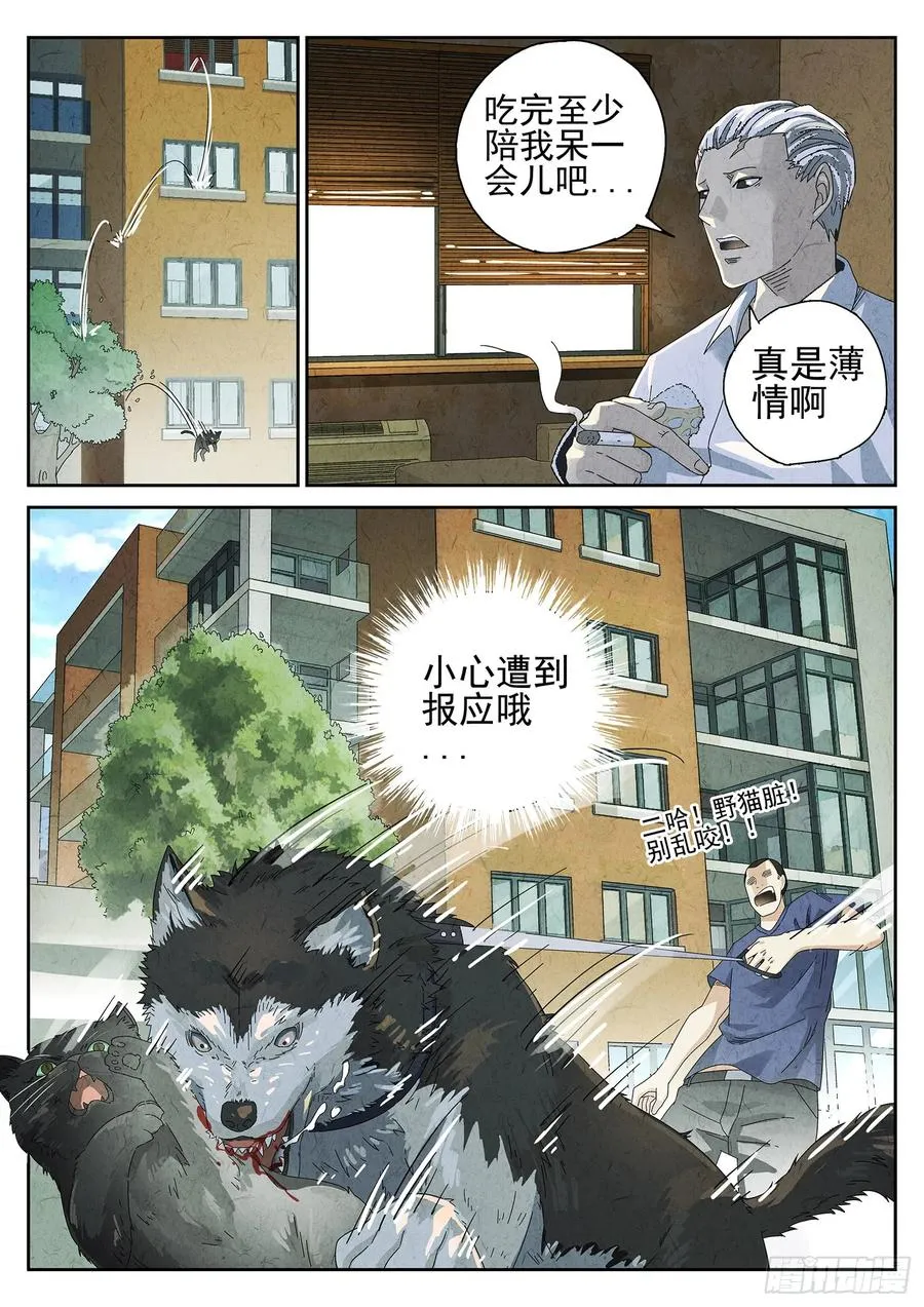 番外 猫爪拌饭13