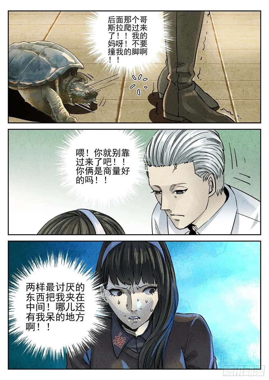 第四十话 生焖鳄龟（一）5