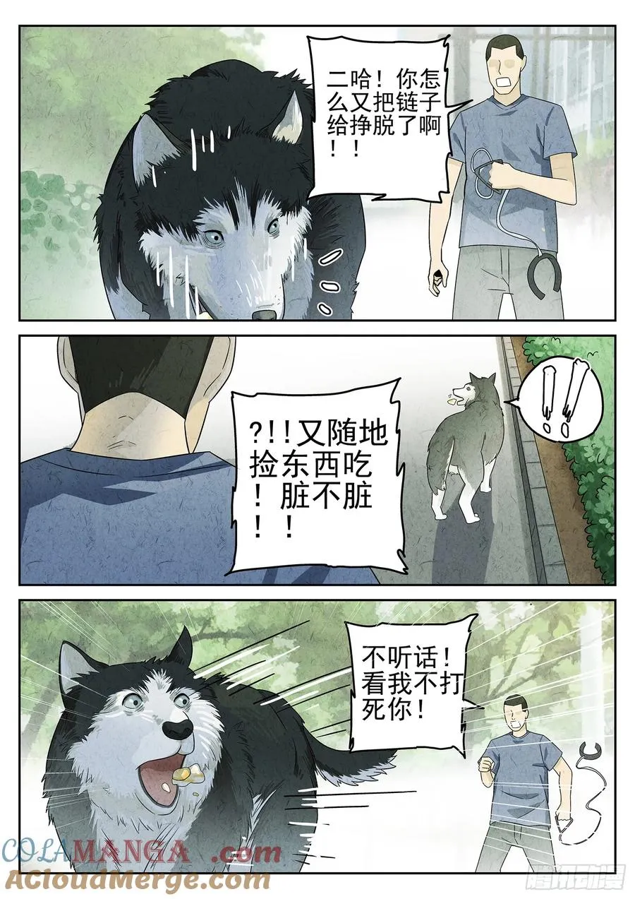 第二十一话 最完美的煎蛋（二）18