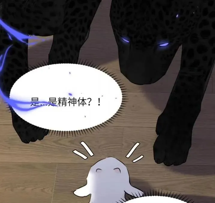 031 提前分化。14