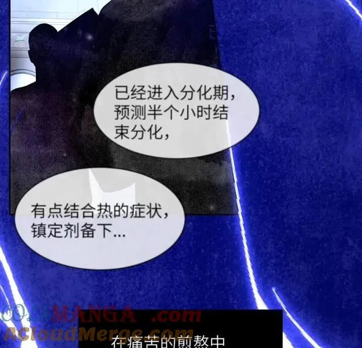 031 提前分化。51