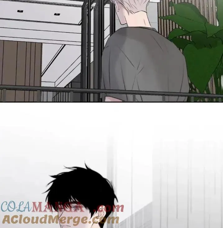031 提前分化。75