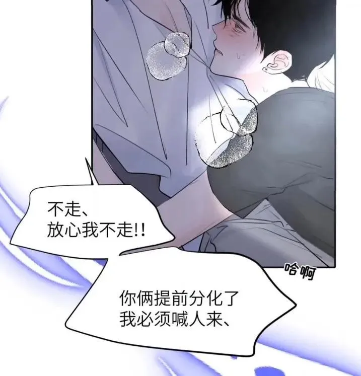 031 提前分化。31