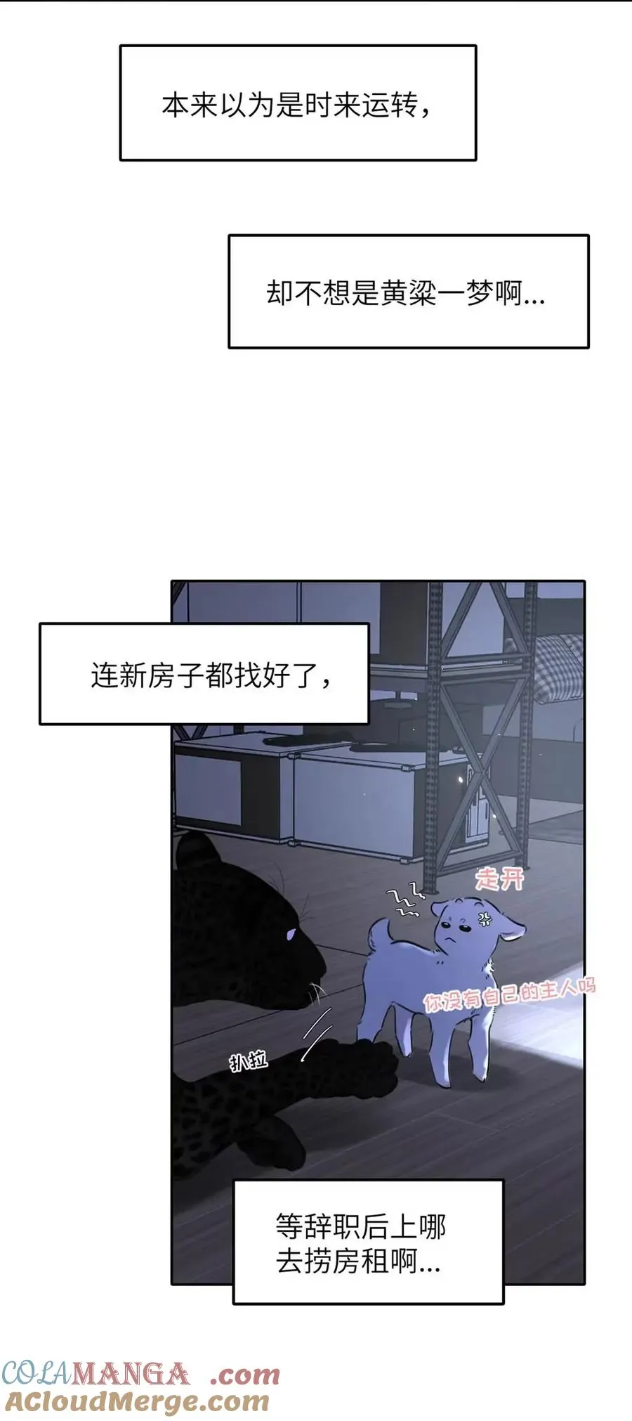017 那用谁呢？郑嘉？郑言？39