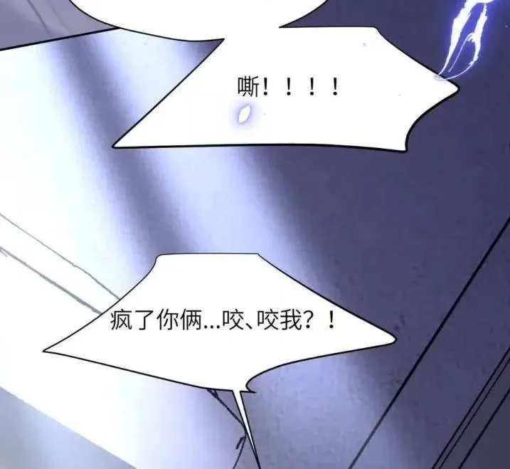 031 提前分化。41