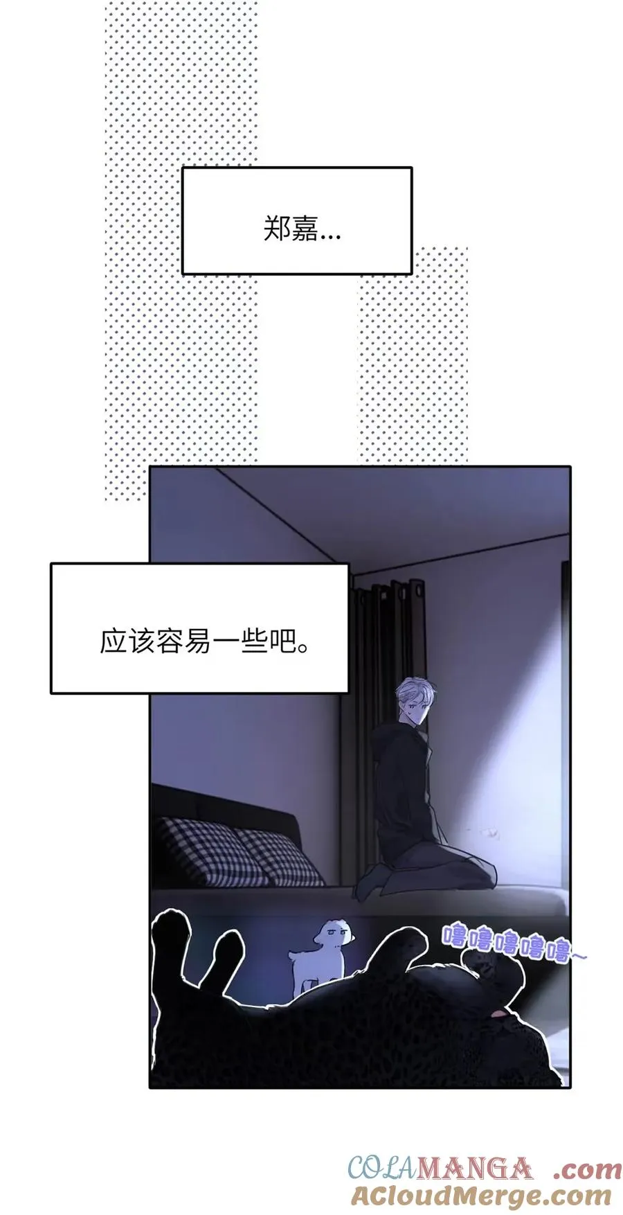 017 那用谁呢？郑嘉？郑言？48