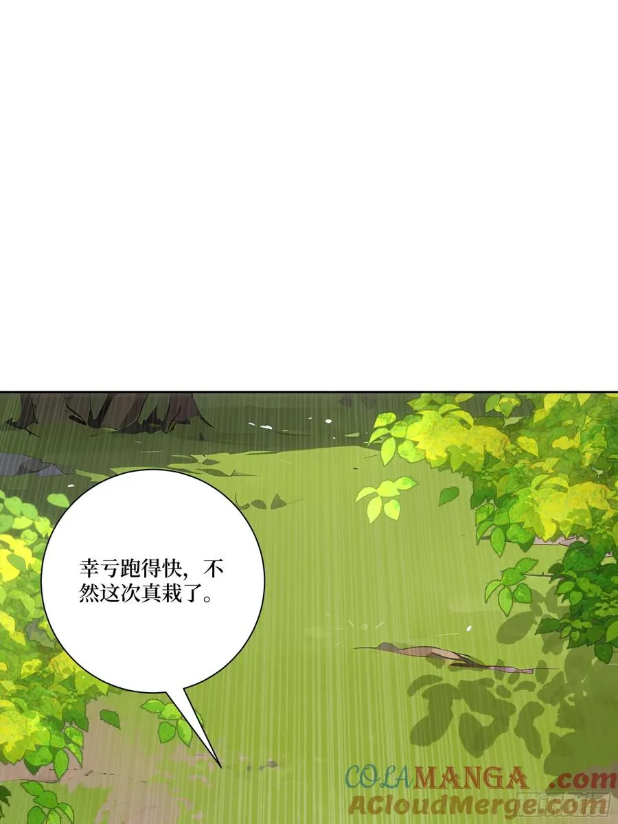 15 收服狮王！30