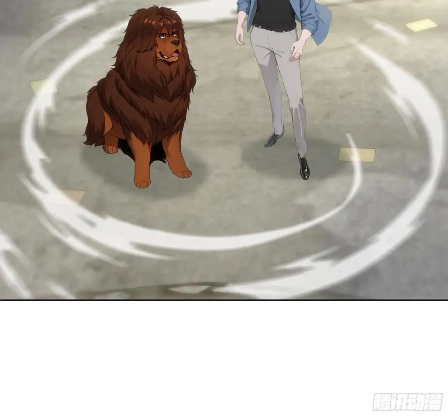 15 收服狮王！53