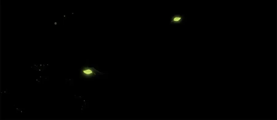 第3话 领域结界133
