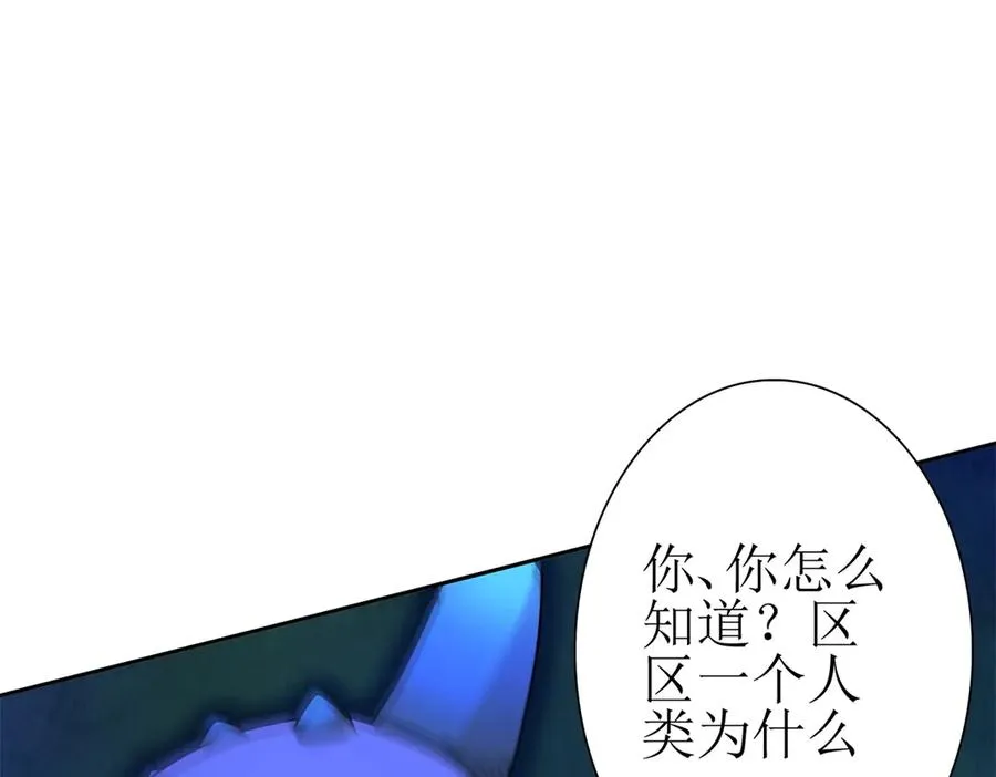 第26话 升级奖励5