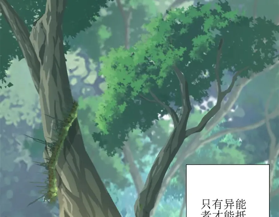 第3话 领域结界13