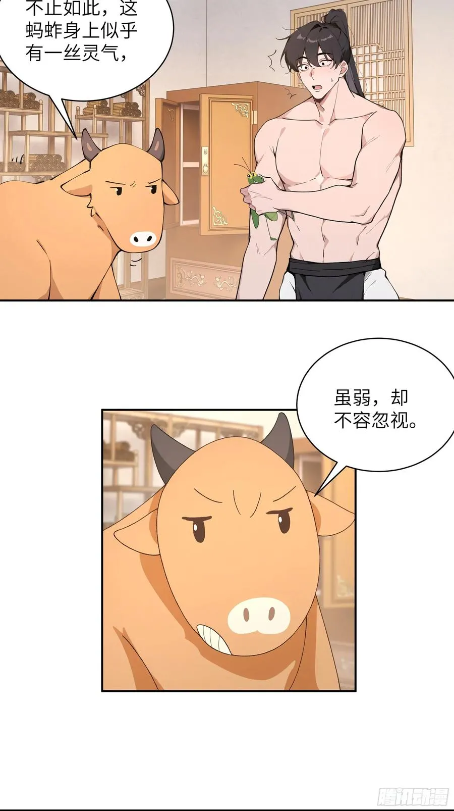 52 零星草16