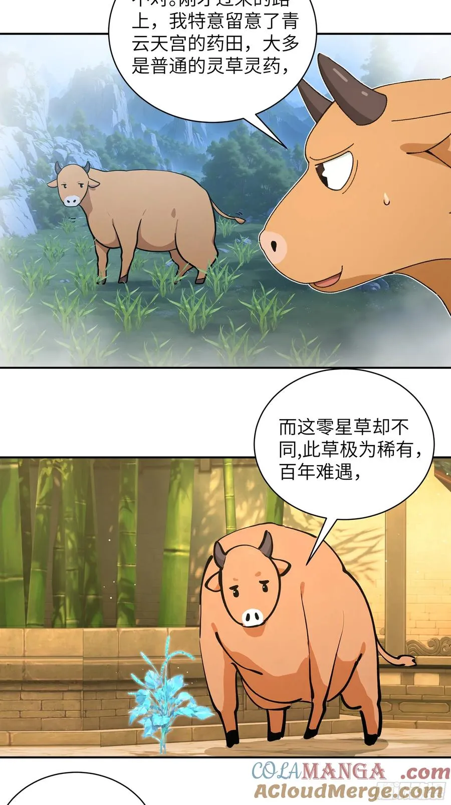 52 零星草33