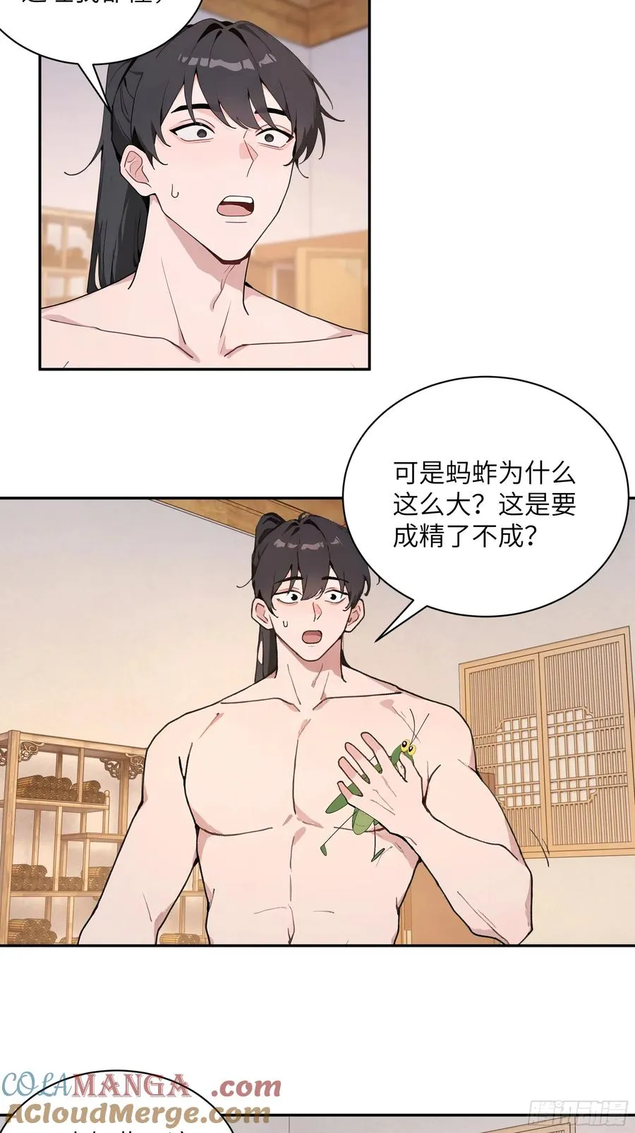 52 零星草15