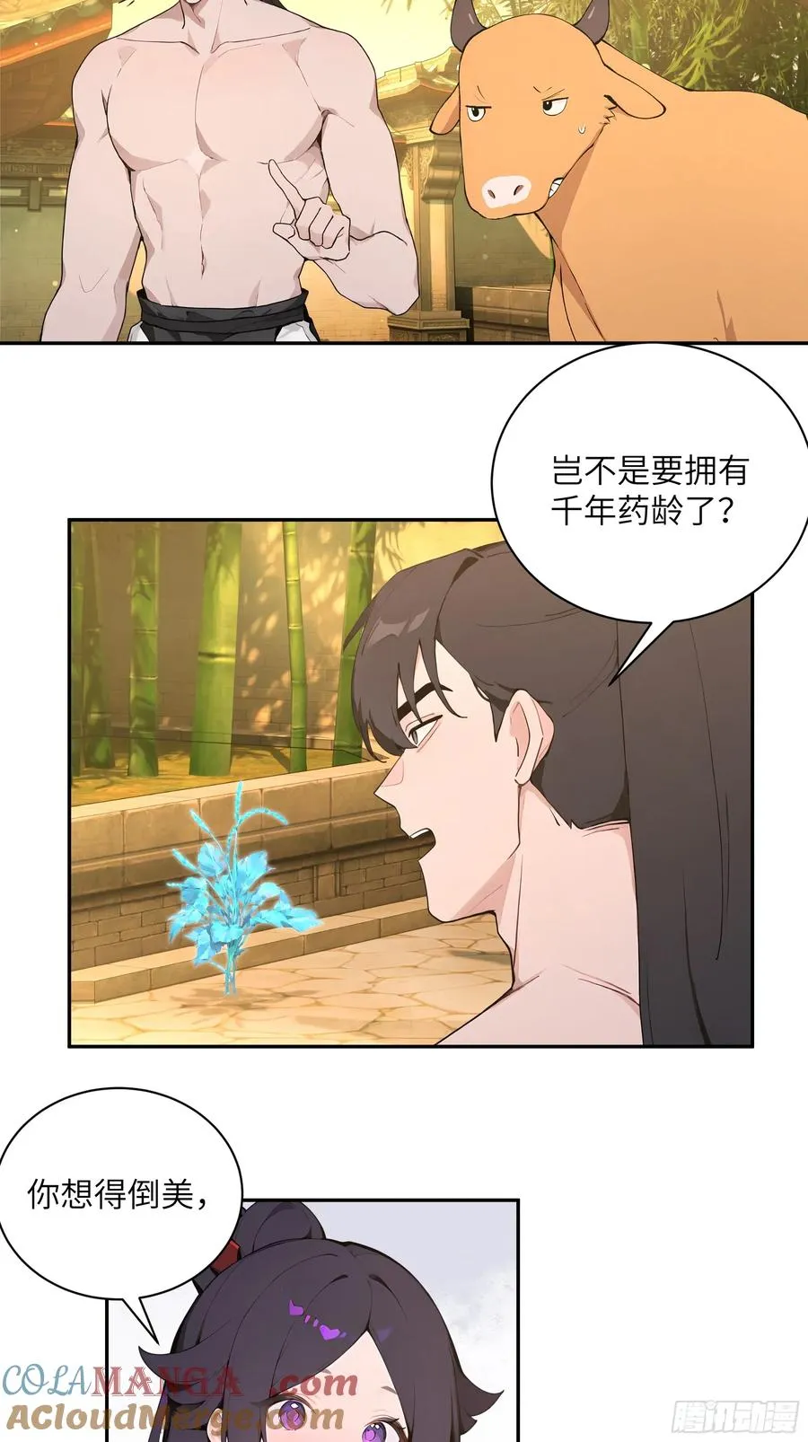 52 零星草36